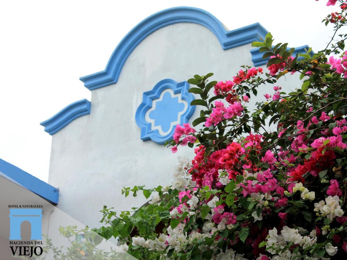 Hotel Hacienda Del Viejo Matamoros  Exterior photo