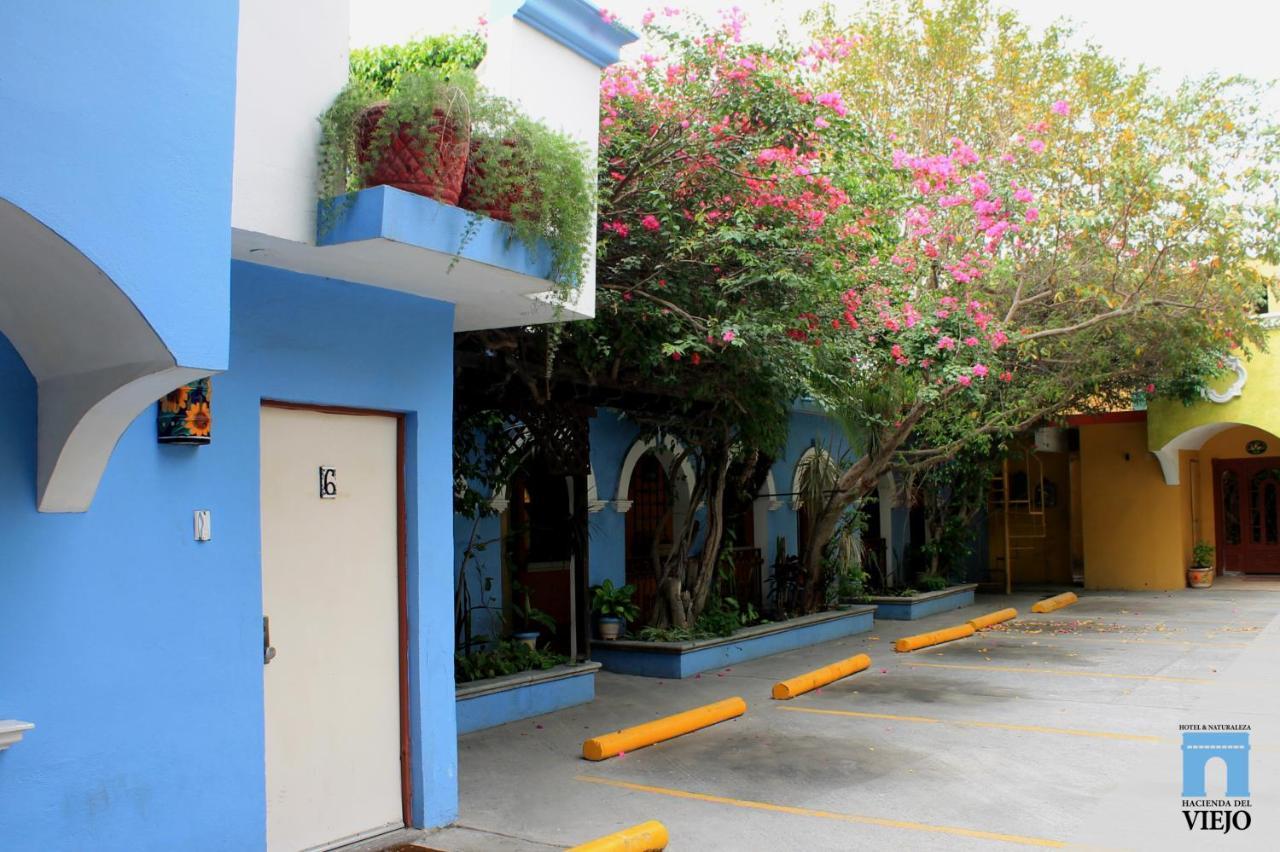 Hotel Hacienda Del Viejo Matamoros  Exterior photo